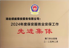 喜報(bào)！領(lǐng)威保安榮獲“2024年度保安服務(wù)業(yè)安保工