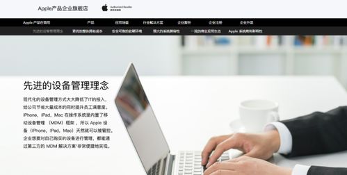 集齐Apple企业服务生态 组件 京东成ABM ACE首家授权电商平台